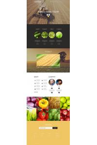 Agricultural Organization