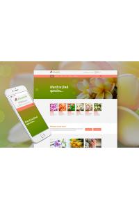 Flowers - Flower Shop Responsive Flowers - Flower Shop Responsive