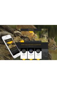 Животные И Домашние Животные Шаблон Joomla Животные И Домашние Животные Шаблон Joomla