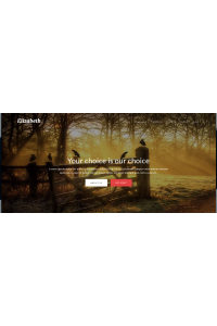 Элизабет - Одна Страница Корпоративная Элизабет - Одна Страница Корпоративная