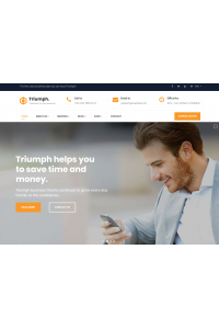 Триумф-Консалтинг и профессионал