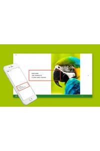 Зоопарк-Флора И Фауна Отзывчивы Зоопарк-Флора И Фауна Отзывчивы