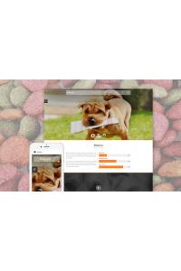 Animals Pets Animals Pets