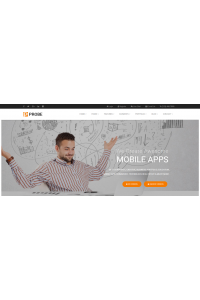 Probe - Responsive Multipurpose Probe - Responsive Multipurpose