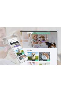 приют для животных приют для животных