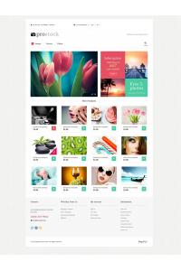 онлайн-портфолио онлайн-портфолио