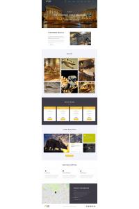 Dino Museum Dino Museum