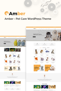 Amber Pet Care Amber Pet Care