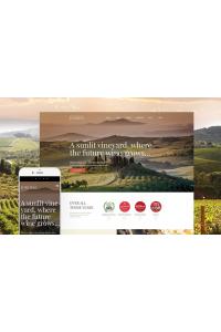 Jorden - Wine & Winery Jorden - Wine & Winery