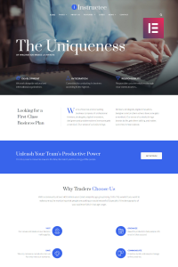 Instructee - Consulting Services Elementor Instructee - Consulting Services Elementor